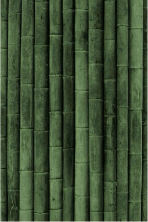 nguon-goc-2